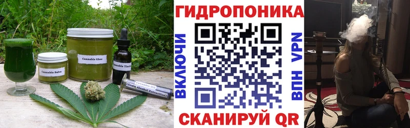 Купить закладки  Грайворон  Canna-Cookies конопля 