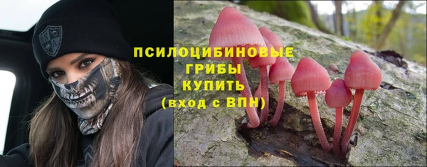 спайс Алексин