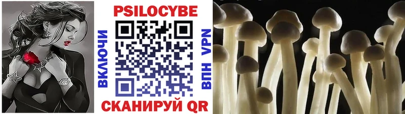 Псилоцибиновые грибы ЛСД  Купить  Грайворон 