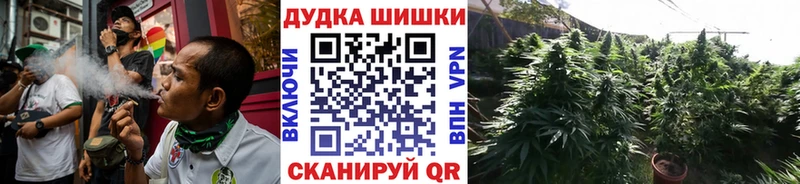 Купить закладки  Грайворон  Каннабис Bruce Banner 